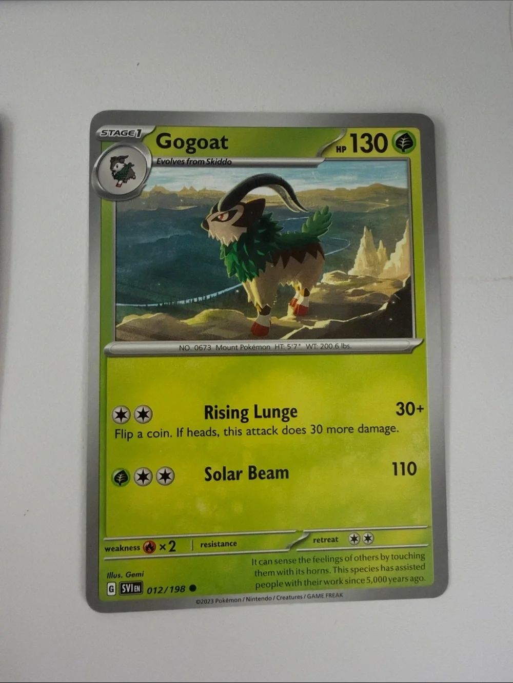 Pokemon gifts wildlife character